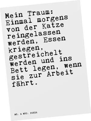 Produktbild von Mr. & Mrs. Panda Grußkarte Mein Traum: Einmal morgens... - Weiß - Geschenk, Ansichtskarten, Katzen, Ansichtskarte, Postkarte, Frauchen, Postkarten, Katze, witzig, Sprüche