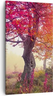 Produktbild von Bild auf Leinwand - Leinwandbild - Baum Natur Wiese - 45x80cm - Wand Bild - Wanddeko - Wandbilder - Leinwanddruck - Bilder - Kunstdruck - Wanddekoration - Leinwand bilder - Wandkunst - PA45x80-3658