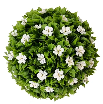 Zdjęcie produktu dla Dekoracyjna Kula Gardenia 28Cm
