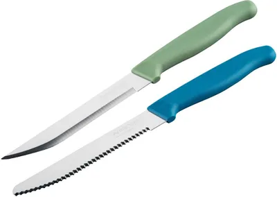 Produktbild von Nirosta Elemental 2er Messerset Extra Scharfe Klingen Frühstücks- & Universalmesser Nachhaltiger, Rutschfester Griff