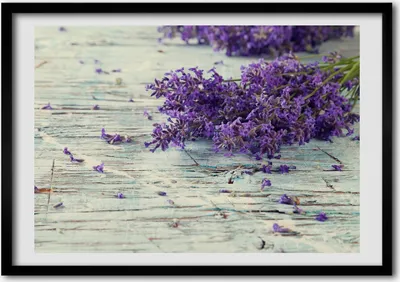 Produktbild von Bild - Bilder - Bilderrahmen - 70 cm x 50 cm - MDF-Rahmen, Wandkunst Lavendel