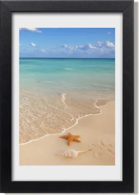 Produktbild von Bild 20x30 MDF-Rahmen, Wandkunst Seestern am Strand
