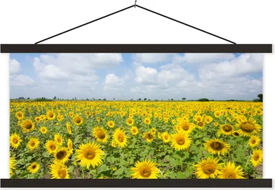Produktbild von MuchoWow® Textilposter Sonnenblumen - Blumen - Wolken - Natur - Gelb - Landschaft 150x75 cm mit schwarzem Rahmen - Posterleiste