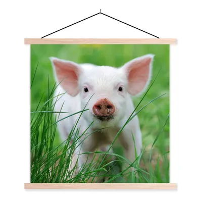 Produktbild von MuchoWow® Textilposter Schwein - Tiere - Groß 120x120 cm mit holzfarbenen Rahmen - Textil-Poster