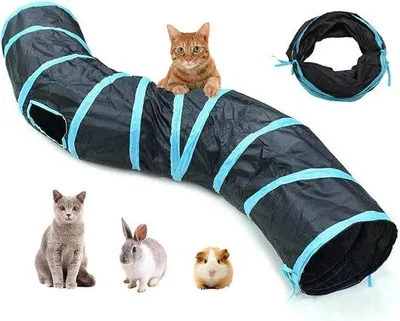 Image de Tunnel pliable à deux entrées pour chiens et chats – Jouet d'intérieur et d'extérieur