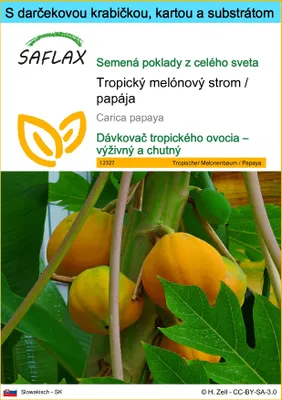 Obrázok produktu pre SAFLAX Darčeková sada - Tropický melónový strom / papája - Carica papaya - 30 Semená - S darčekovou krabičkou, prepravným štítkom, darčekovou kartou a pestovateľským médiom