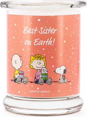Obrázok produktu pre Najlepšia sestra na svete - vonná sviečka 250g od Peanuts