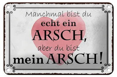 Produktbild von Blechschild Spruch 18x12cm manchmal bist du ein ARSCH aber Dekoration