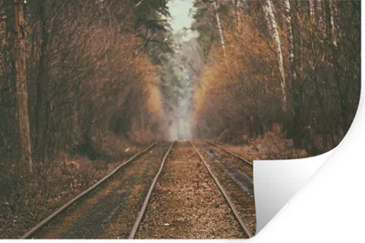 Produktbild von MuchoWow® Wandtattoo Wandsticker Wandaufkleber Bahnstrecke - Weg - Wald - Baum 90x60 cm Selbstklebend und Repositionierbar - Aufkleber