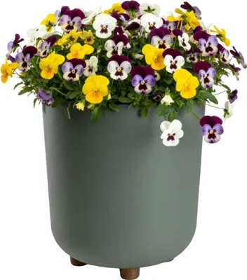 Obrázek produktu pro HowHomely | Květináč – květinový truhlík – 27 x 24 cm – šedozelený – s nožičkami – z recyklovaného materiálu – květinová nádoba
