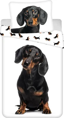 Zdjęcie produktu dla JERRY FABRICS Pościel Jamnik bawełniana, 140/200, 70/90 cm