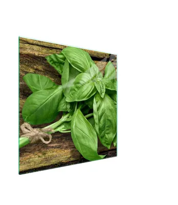 Obrázok produktu pre Sklenená Ochranná Tabuľa Pre Herd 50X52 Basil