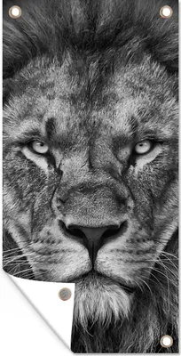 Produktbild von MuchoWow® 80x160 cm Outdoor-Poster Gartendeko Sichtschutz Garten Poster für den Garten  Tiere - Löwe - Schwarz - Weiß - Porträt