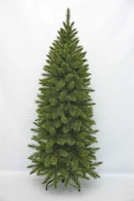 Image de Triumph Tree Arbre de Noël artificiel Bristlecone Fir - 79x79x185 cm - PVC - Vert