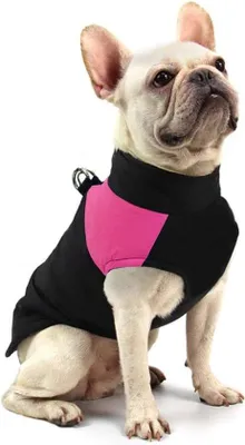 Produktbild von Famanu Hundejacke Wasserdicht und Warm - Für kleine, mittelgroße und große Hunde