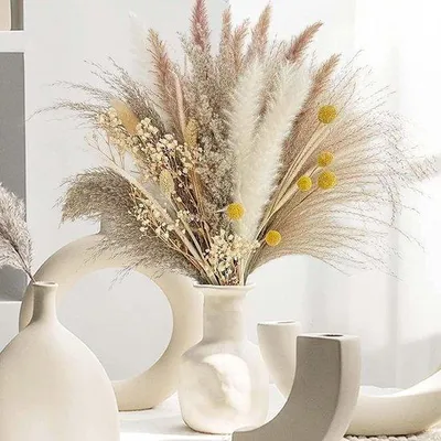 Produktbild von Famanu Pampasgras Dekorationsset 73 Stück - natürliche Trockenblumen mit Pampas und Schleierkraut