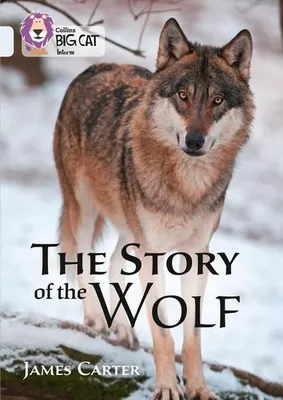 Produktbild von The Story of the Wolf