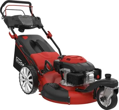 Zdjęcie produktu dla Kosiarka BIG WHEELER 554.1 R TRIKE