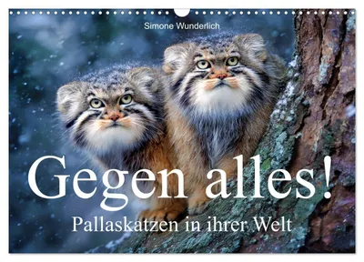 Produktbild von Gegen alles! - Pallaskatzen in ihrer Welt (Wandkalender 2027 DIN A3 quer), CALVENDO Monatskalender
