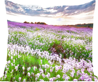 Produktbild von MuchoWow® Zierkissen Sofakissen Wohnzimmer Dekokissen 50x50 cm Lavendel - Blumen - Sonnenuntergang - Lila - Wiese - Komfort - Sofakissen