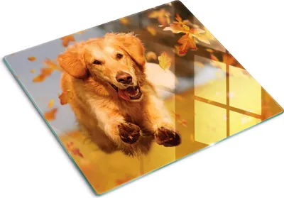 Produktbild von Glas Herdabdeckplatte 60x52 cm Spritzschutz Glasabdeckplatte Schneidebrett Steinmauer