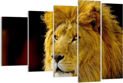 Produktbild von Bild auf Leinwand - Leinwandbild - Löwe Tiere Tierwelt - 150x100cm - Wand Bild - Wanddeko - Leinwanddruck - Bilder - Kunstdruck - Wanddekoration - Leinwand bilder - Wandkunst - EG150x100-1237