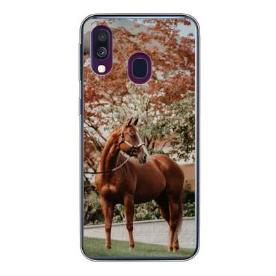 Produktbild von MuchoWow® Handyhülle Schutzhülle Hülle für Samsung Galaxy A40 Pferd - Baum - Halfter Silikon Softcase Handy Hülle - Handy-Tasche