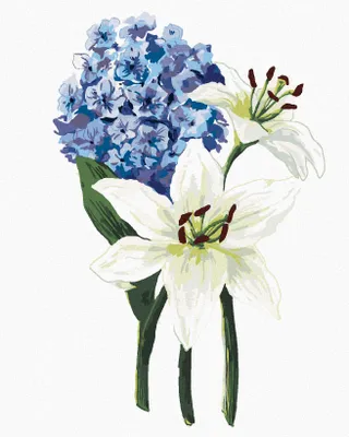 Produktbild von Zuty - Malen nach Zahlen - LILIEN UND HORTENSIEN (ALEXANDRIA GILBERT), 40x50 cm, mit Keilrahmen (bereits gespannt)