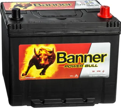 A car battery with branding and labels.