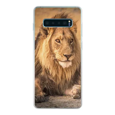 Produktbild von MuchoWow® Handyhülle Schutzhülle Hülle für Samsung Galaxy S10 Plus Löwe - Nahaufnahme - Savanne Silikon Softcase Handy Hülle - Schutzhülle