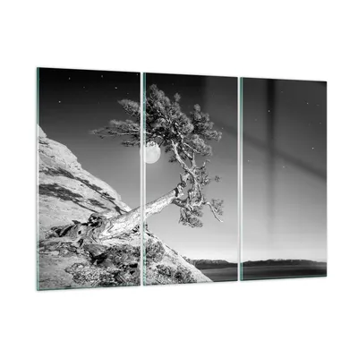Produktbild von Bilder auf glas - 3 Teile - Voll der Mond Baum - 105x70cm - Glasbilder - Wandbilder - Bilder - zum Aufhängen bereit - Wanddekoration aus Glas - Glas Bilder - Wandbild auf Glas - GCE105x70-4689