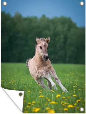Produktbild von MuchoWow®