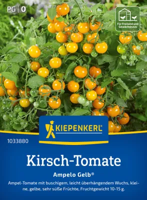 Artikelbild 2 von 'Kirsch-Tomate Ampelo Gelb F1' aus der Kategorie Kirschtomatensamen