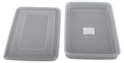 Stapelbare Gefrierbox, luftdicht, 1 Stück, 31x22x5 cm, spülmaschinengeeignet