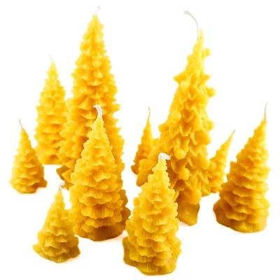Naturra Tannenkerzen 10er Set aus reinem Bienenwachs handgefertigte Weihnachtskerzen