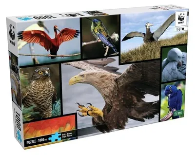 Produktbild von WWF Puzzle Vögel (1000 Teile) Puzzel Jigsaw Birds Adler Albatros Papagei