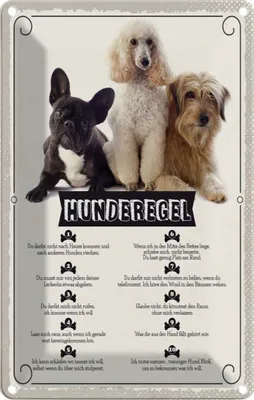 Produktbild von vianmo Blechschild 30x20 cm Hunderegel schlafen wo ich will Hund