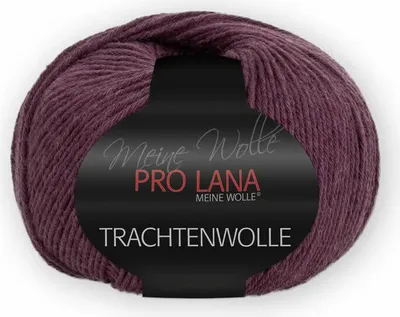 Produktbild von Pro Lana Trachtenwolle 100g 038