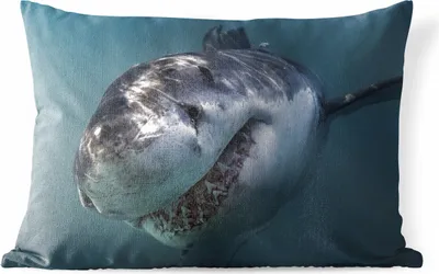 Produktbild von MuchoWow® Outdoor Kissen - Hai - Weiß - Wasser - 60x40 cm - Wetterfest - Lounge Kissen - Zierkissen - Kissen für Innenräume