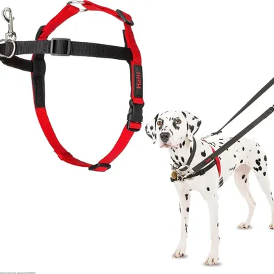 Image de Halti Front Control harnais noir/rouge, taille : M