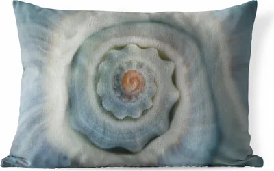 Produktbild von MuchoWow® Outdoor Kissen - Muschel - Nahaufnahme - Blau - 60x40 cm - Wetterfest - Lounge Kissen - Zierkissen - Kissen für Innenräume