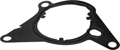 Image de Joint De Pompe À Vide Peugeot 2008Thp 20-