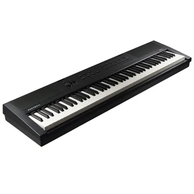 Produktbild von Kurzweil Stage Piano KAE1-LB 88 Tasten