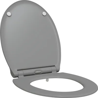 Produktbild von Möbel Schnellverschluss Toilettensitz mit sanfter Schließöffnung Duroplast Grau - WC-Sitze 42002363