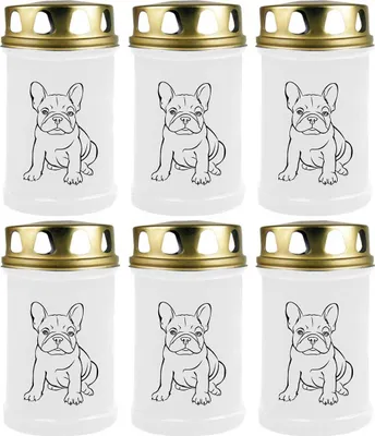 Produktbild von Grabkerze Weiß 6er Pack, Brenndauer: 48 Stunden ( je Kerze ), Motiv: Bulldogge