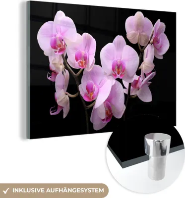 Produktbild von MuchoWow Glasbilder - Bilder auf Wandbild - Foto auf Glas Orchidee - Blumen - Rosa - Flora 60x40 cm Wanddekoration aus Glas - Acrylglasbild - Acrylbilder - Glasfotos