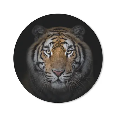 Produktbild von MuchoWow® Mauspad Mousepad Tiger - Wildtiere - Porträt - Schwarz - Tiere 20x20 cm - Mousepads - Maus Mat - Pad - Mausunterlage - Schreibtischmatte