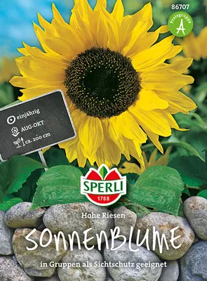 Produktbild von Sperli Sonnenblumen Hohe Riesen - Blumensamen