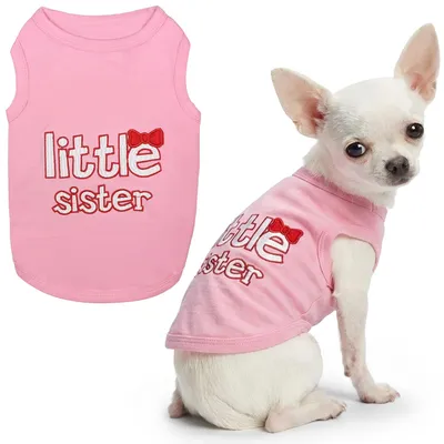 Hunde-Katzen-T-Shirt Little Sister, XXS, Baumwolle, Rundhals