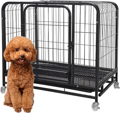 Immagine prodotto di Trasportino per cani - Gabbia per cani - Trasporto sicuro - Doppia porta - 61x45x58 cm - Nero